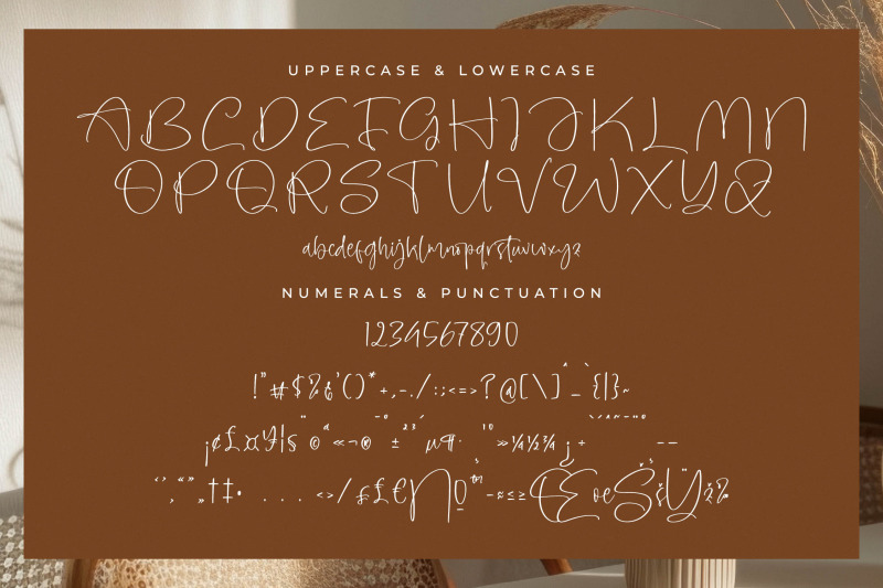 amberony-modern-handwritten-font