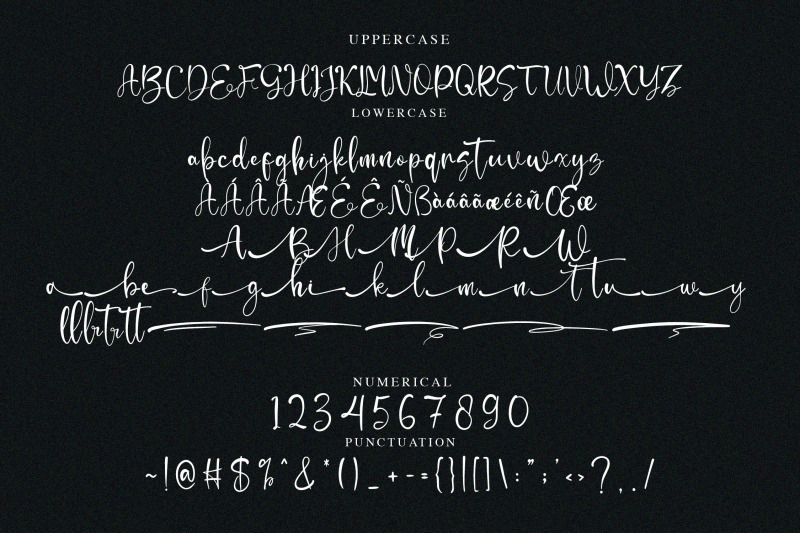 moettiara-calligraphy-script-font
