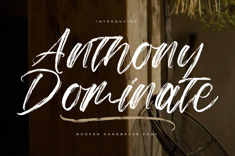 anthony-dominate-modern-handbrush-font