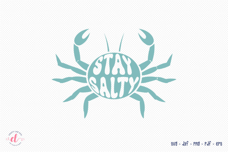 stay-salty-retro-summer-svg-design