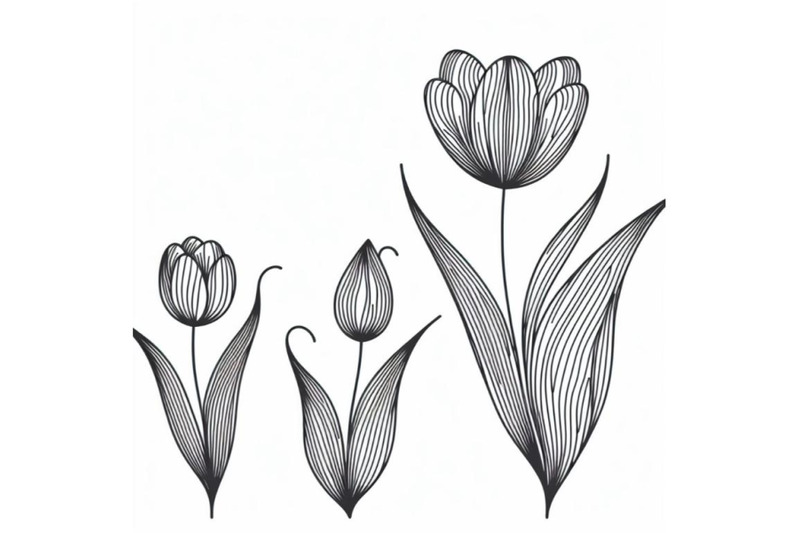 8-tulip-contour-drawing-minimal-bundle