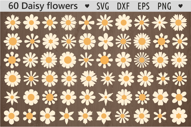 daisy-flower-svg-wildflower-svg-daisy-svg-bundle-daisies-svg-daisy-png