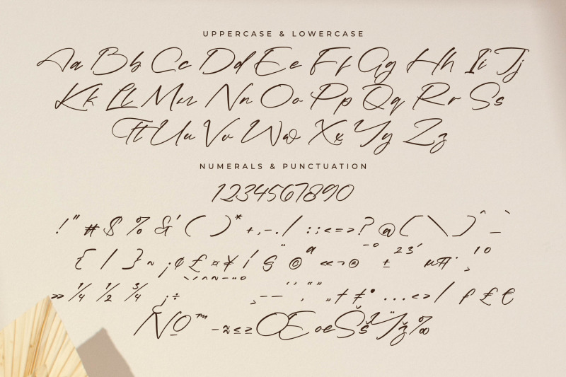 terrycotta-modern-signature-script