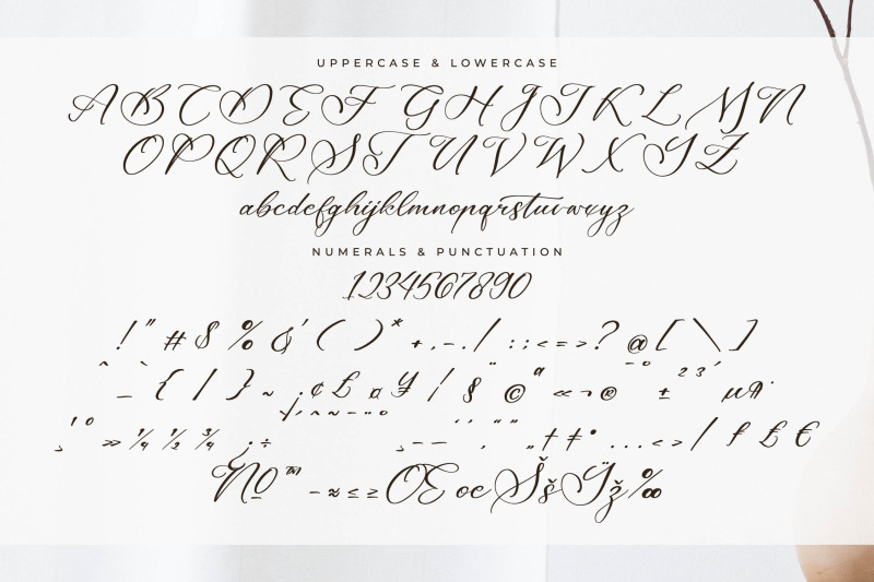 majestican-beauty-calligraphy-font