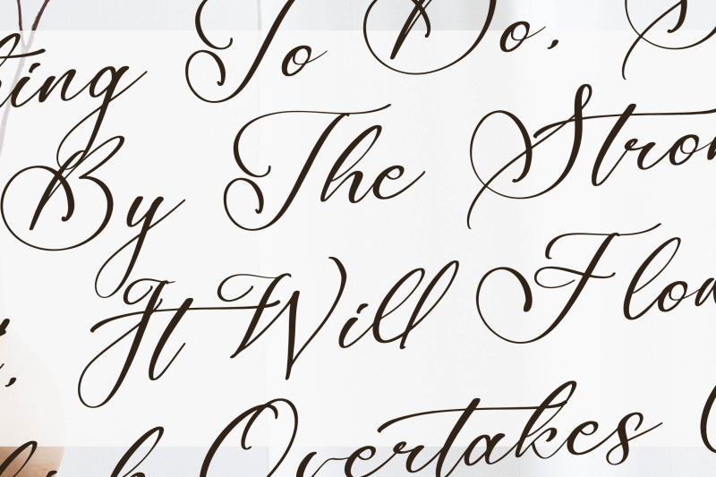 majestican-beauty-calligraphy-font