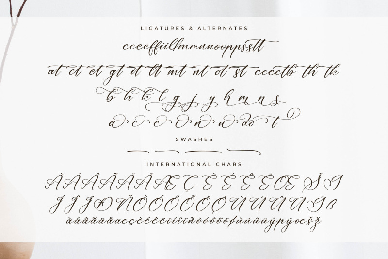 majestican-beauty-calligraphy-font