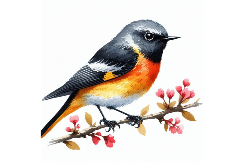 8-american-redstart-bird-watercol-bundle