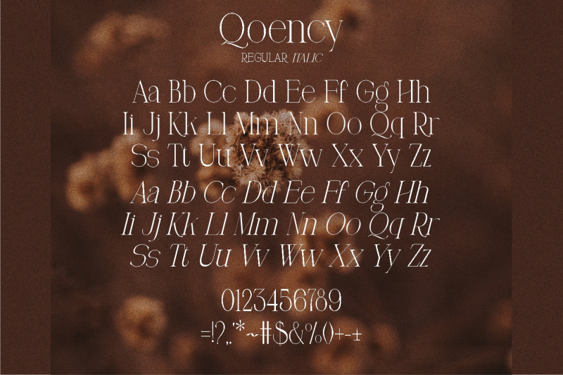 qoency-modern-serif