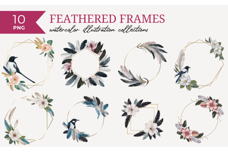 feathered-frames