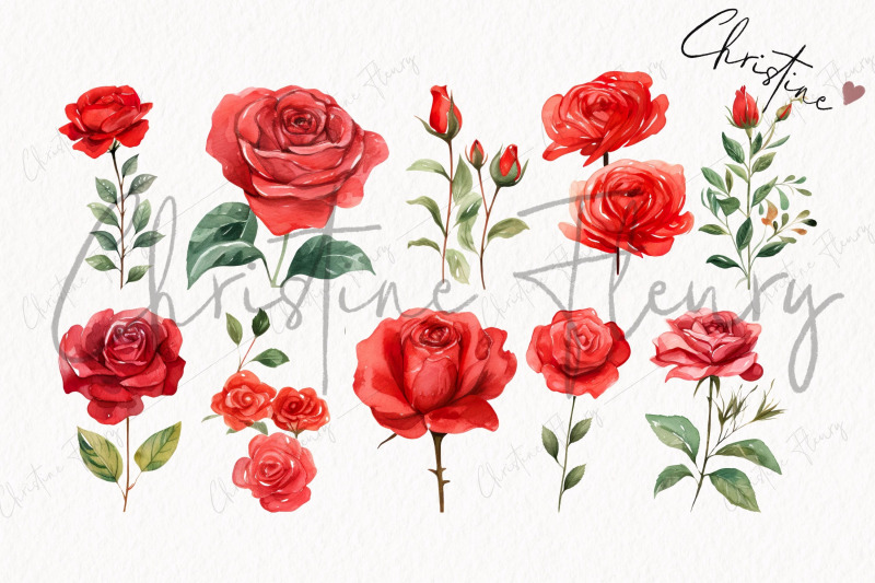 watercolor-red-roses-clipart
