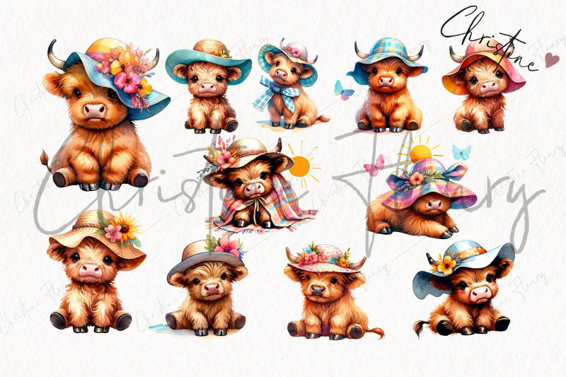 summer-time-highland-cow-clipart