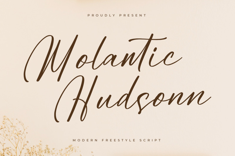 molantic-hudsonn-modern-freestyle-script