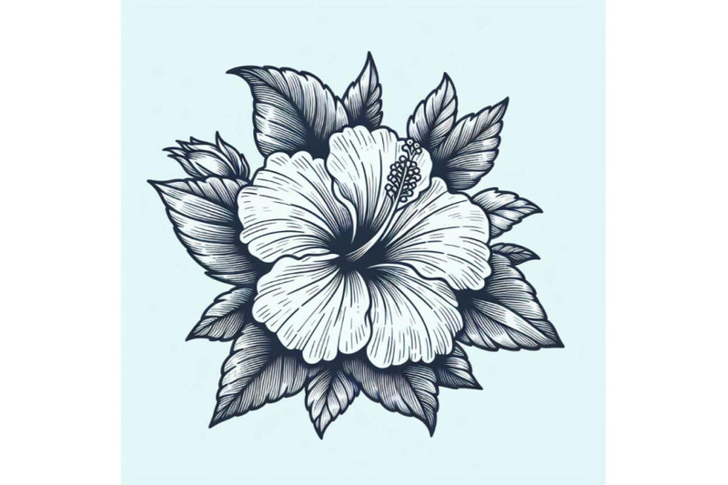 8-hand-drawing-hibiscus-flower-ou-bundle