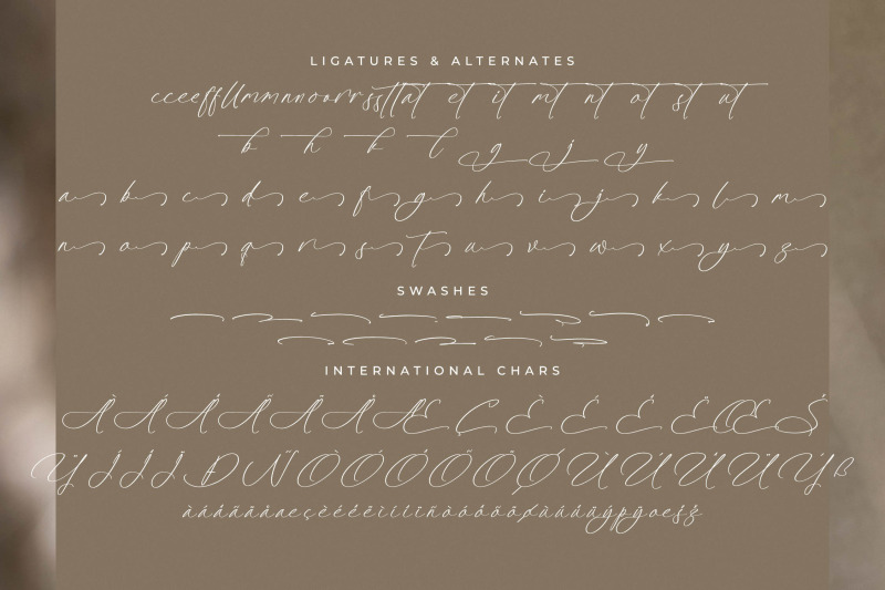 platimye-stylish-signature-font