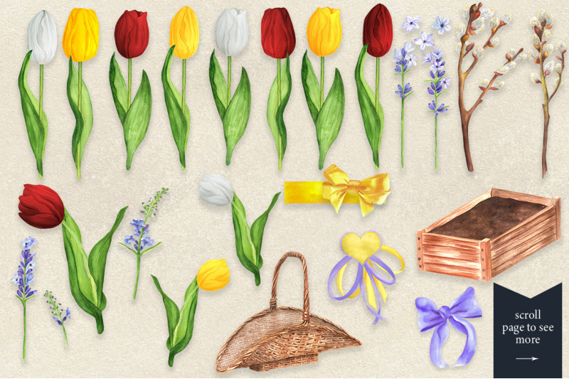 watercolor-tulips-garden-collection