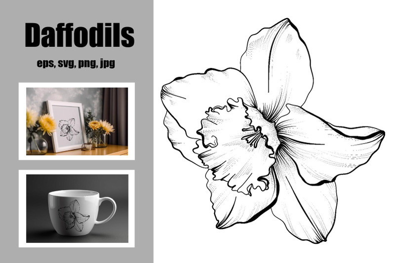 hand-drawn-daffodil