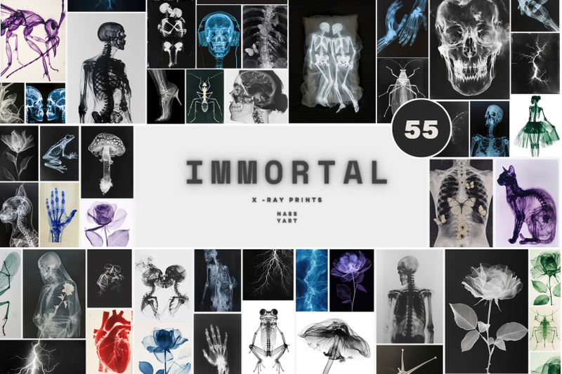 55-immortal-x-ray-print-posters