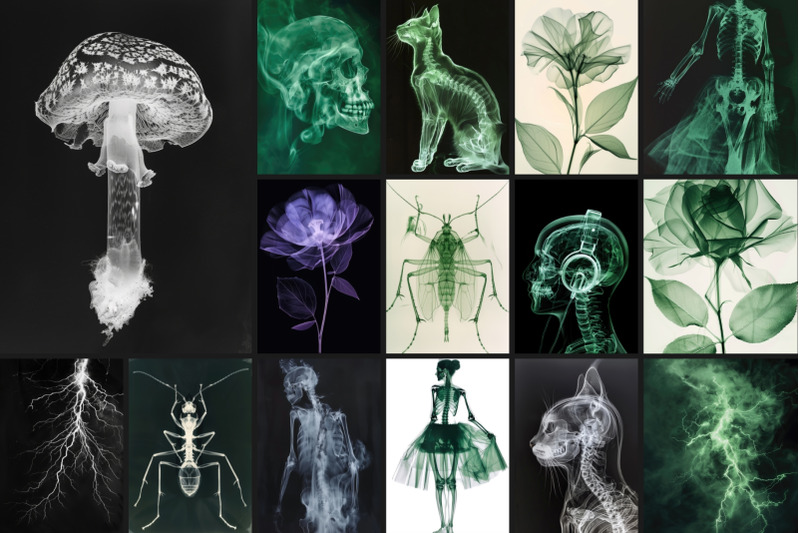 55-immortal-x-ray-print-posters