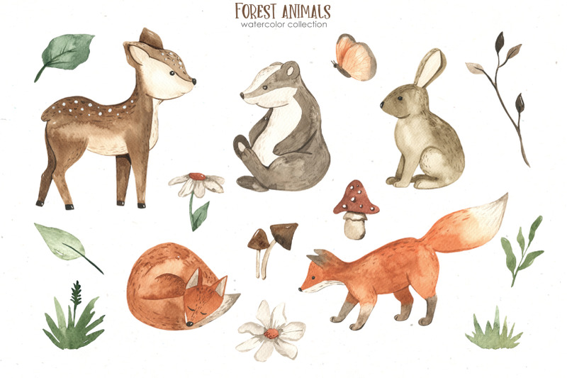 forest-animals-watercolor