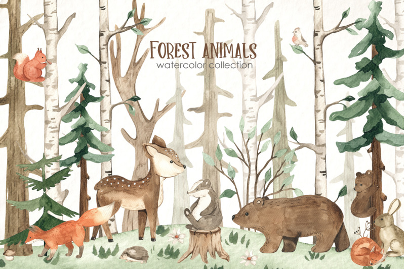 forest-animals-watercolor