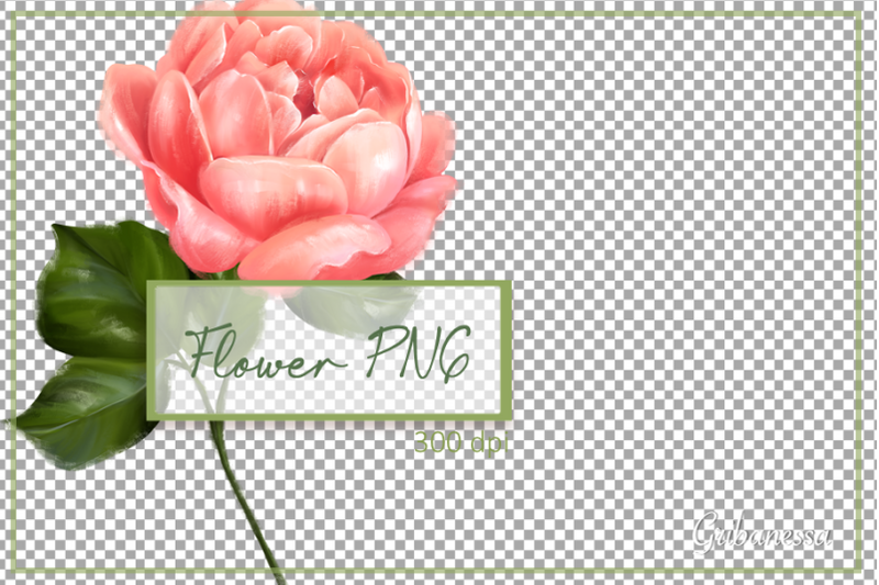 single-rose-clipart-floral-png-hand-drawn-flower