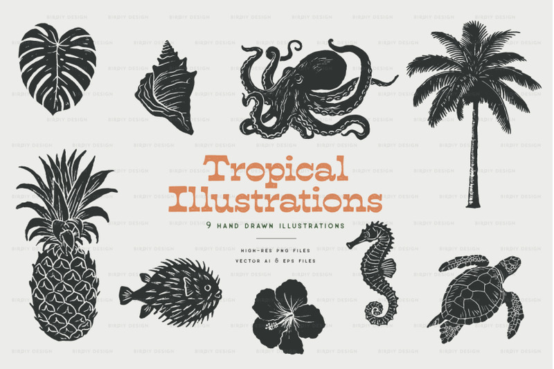 vintage-tropical-illustrations