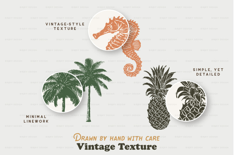 vintage-tropical-illustrations