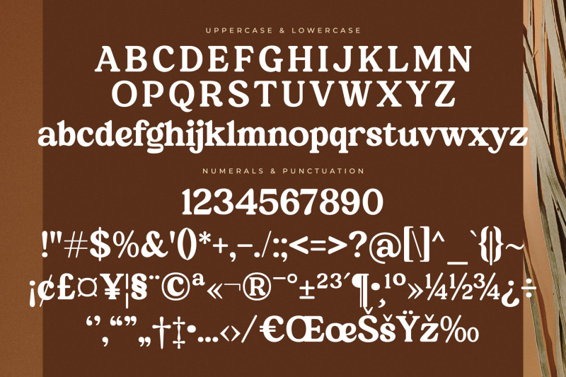 martin-breaks-retro-serif-font