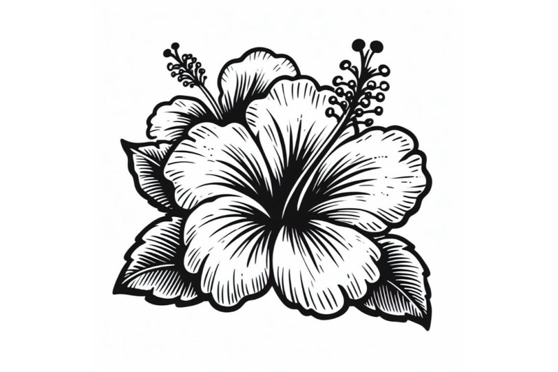 4-hand-drawing-hibiscus-flower-outline-stroke