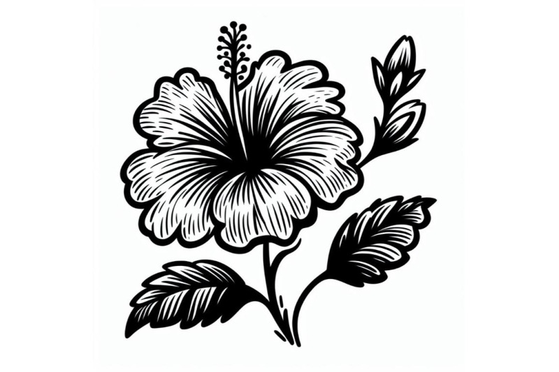 4-hand-drawing-hibiscus-flower-outline-stroke