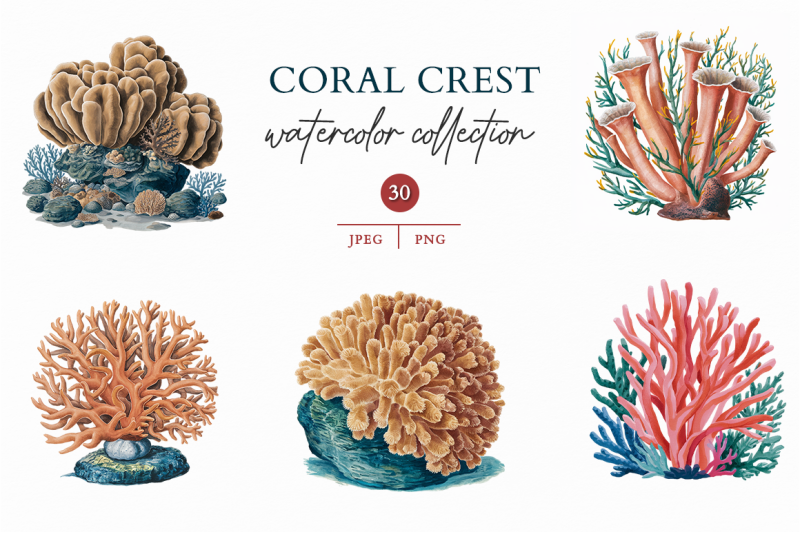 coral-crest