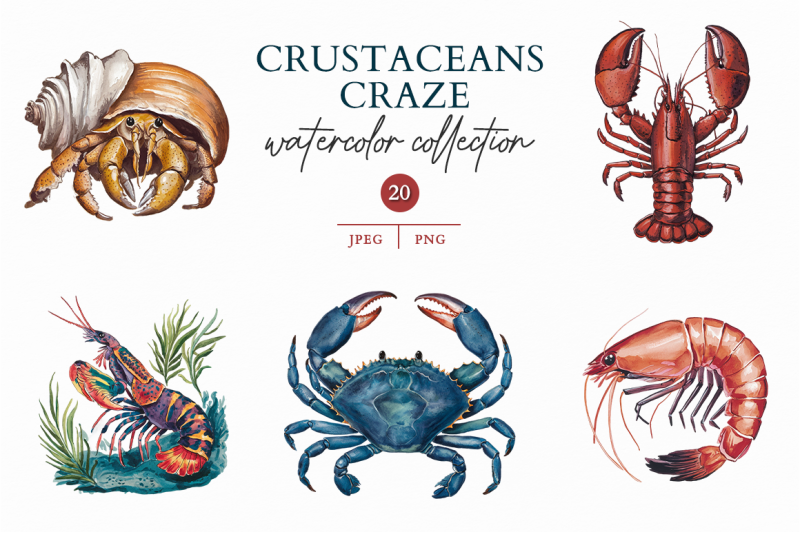 crustaceans-craze