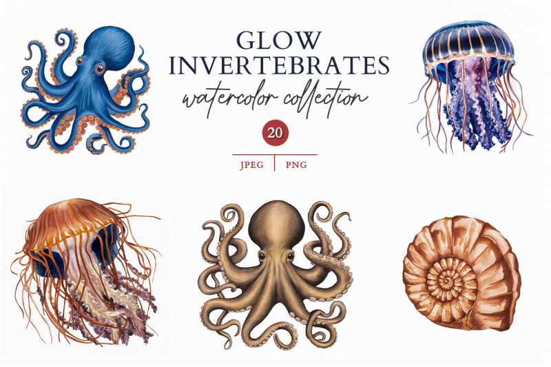 glow-invertebrates