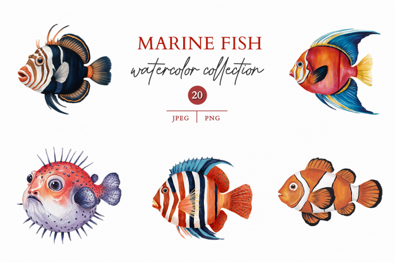 marine-fish