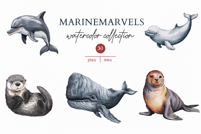 marinemarvels