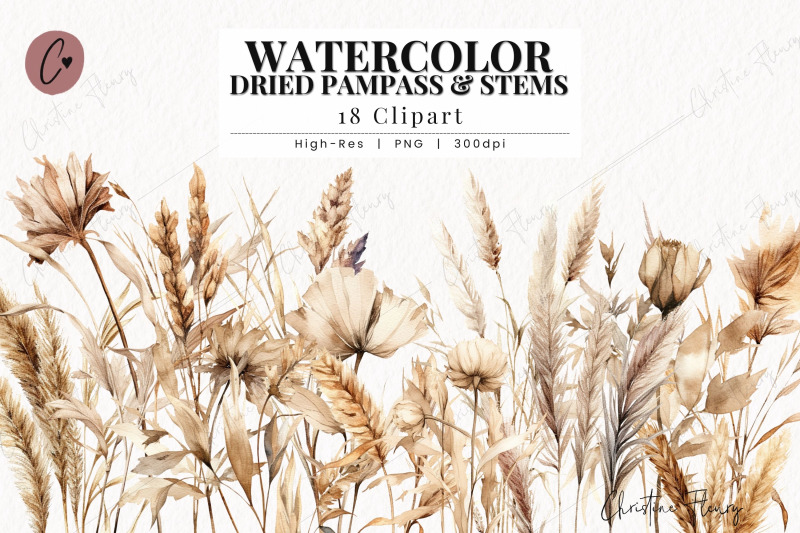 watercolor-pampas-grass-clipart