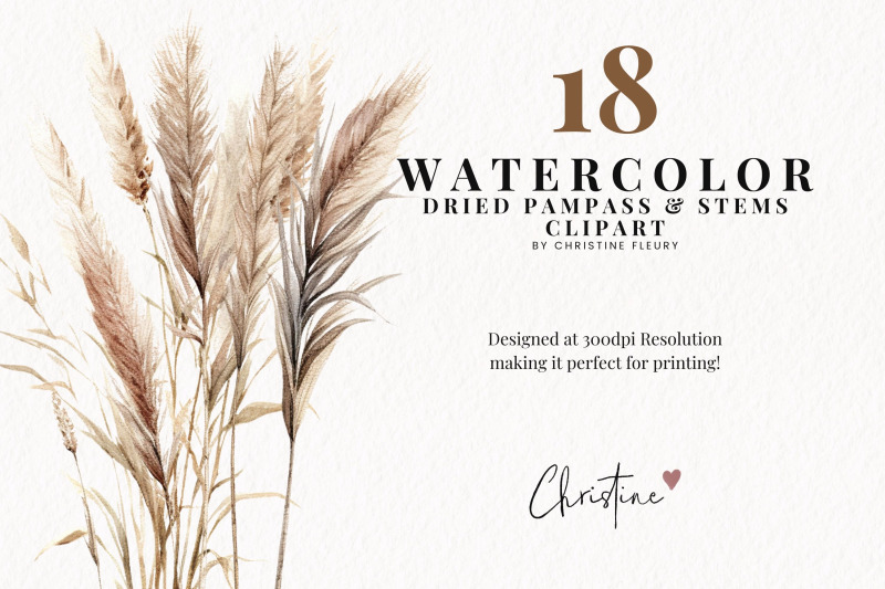 watercolor-pampas-grass-clipart