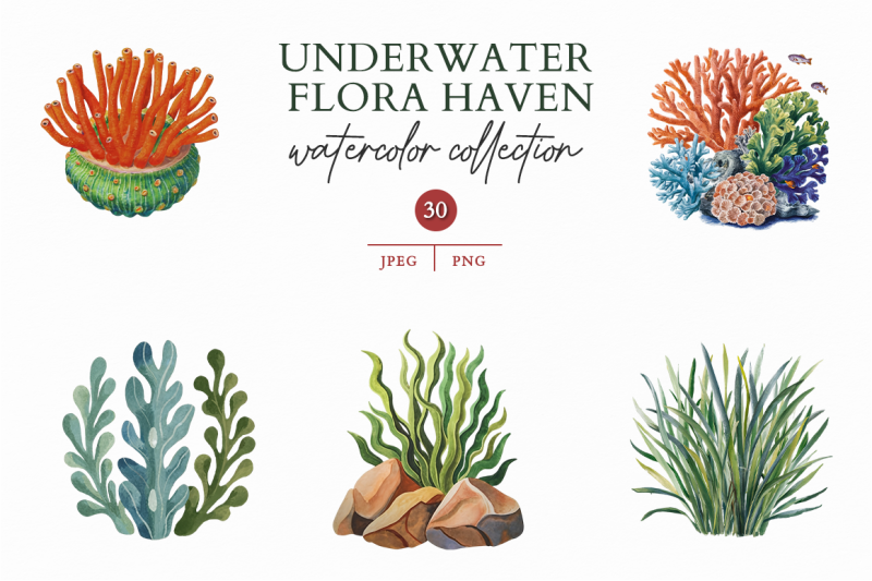 underwater-flora-haven