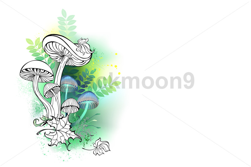 outline-mushrooms-on-forest-background