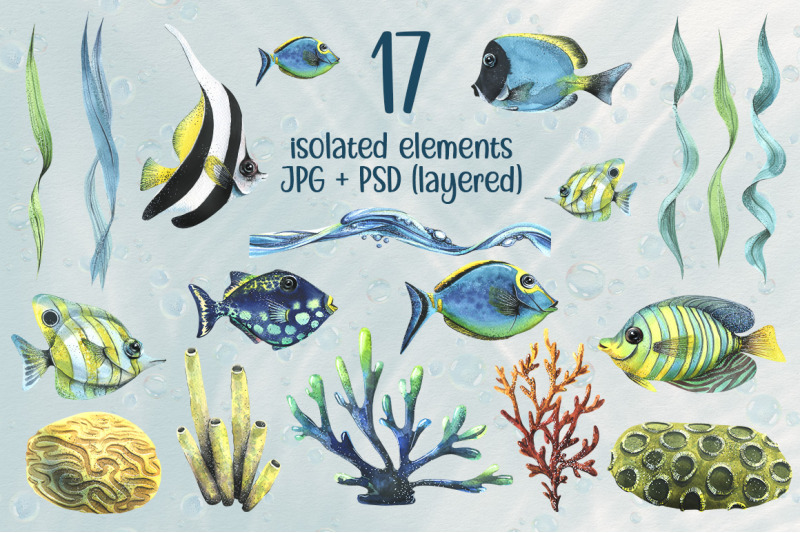 tropical-fish-watercolor-clipart