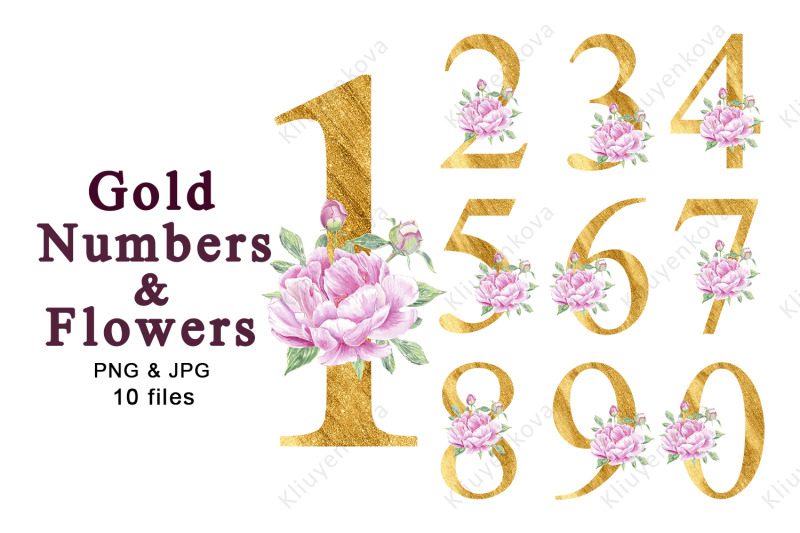 numbers-flower-gold-peony-rose-watercolor-clipart