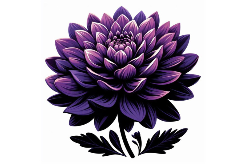 4-purple-dahlia-flower-isolated-on-white-background