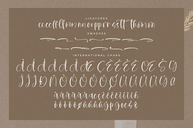 sophia-romantic-modern-handwritten-font