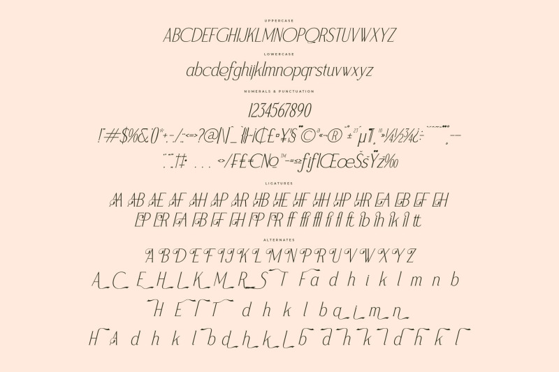 magnofia-modern-serif-font