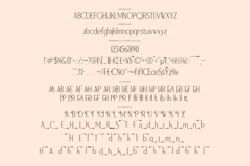 magnofia-modern-serif-font