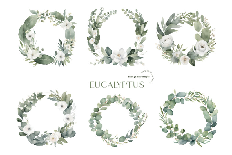 elegant-eucalyptus-greenery-clipart-eucalyptus-flowers-bouquets