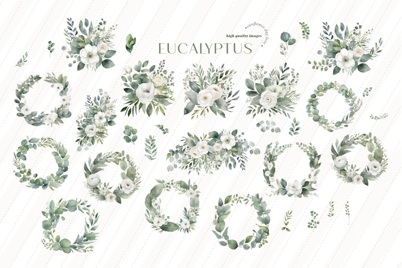 elegant-eucalyptus-greenery-clipart-eucalyptus-flowers-bouquets