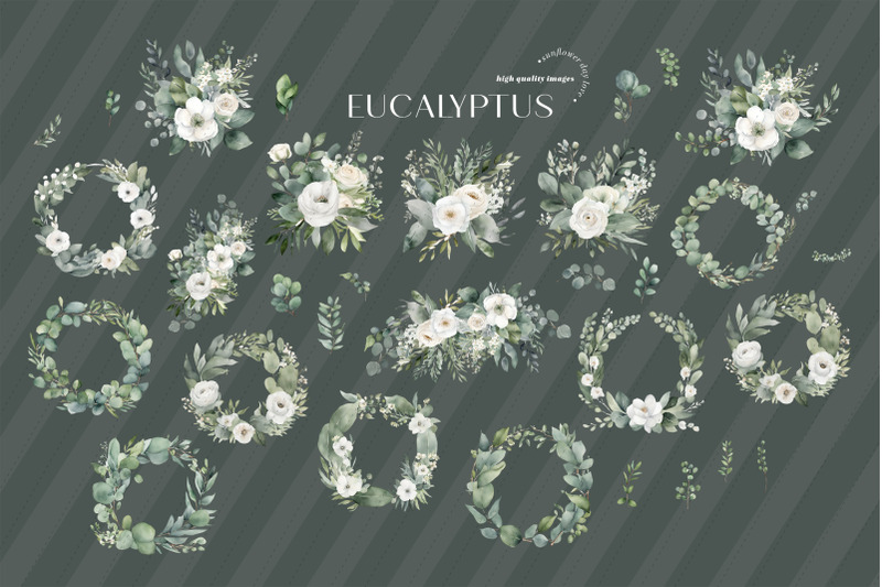 elegant-eucalyptus-greenery-clipart-eucalyptus-flowers-bouquets