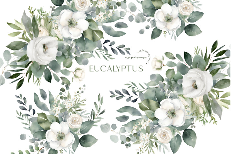 elegant-eucalyptus-greenery-clipart-eucalyptus-flowers-bouquets