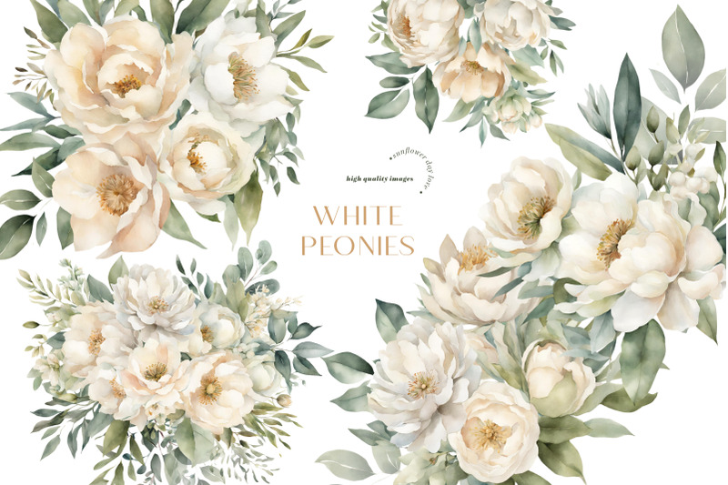 elegant-white-peonies-flowers-bouquets-clipart